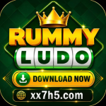 Rummy Ludo Game